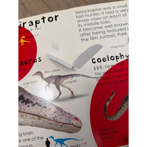 Dinosaur Picture Pops Hardcover Book - Amazing Photo Pop-Ups Of Prehistoric Crea - Picture 5 of 5